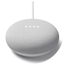 Google Nest Mini winner